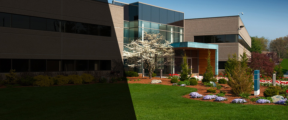 Medford Landscapers