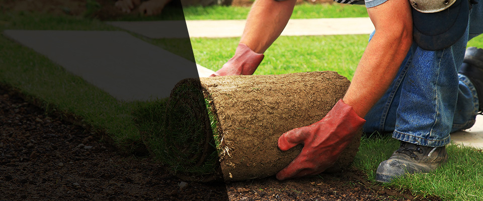 Medford Landscapers